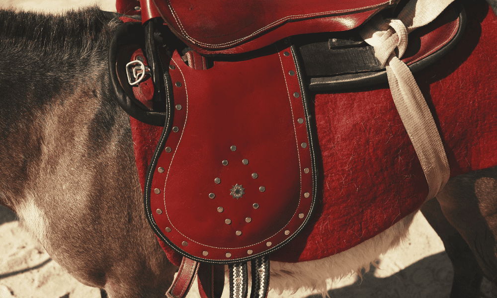 Leather Chemicals for Saddles & Harnesses